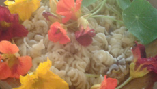 Macarrão com capuchinha