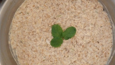 Patê de Atum com Triguilho