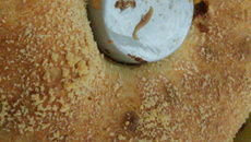 Torta de frango fácil