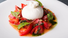 Burrata com tomate e manjericão