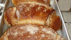 Cuca recheada Silene Bergmann