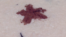 Arroz doce com creme de leite