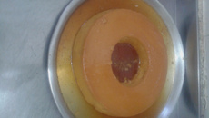 Pudim de pão e leite em pó com iogurte de coco