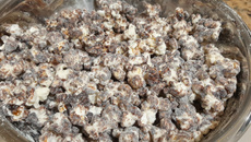 Pipoca de chocolate com leite em pó