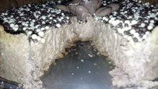 Torta mousse de chocolate