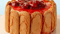 Charlote Sonho de Valsa