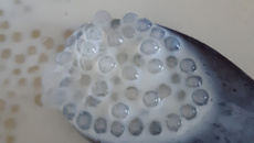 Sagu com leite condensado