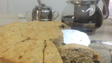 Bolo integral com frutas secas do Tio Mauricio