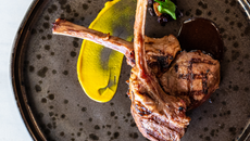 Carneiro ao molho de mostarda