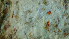 Torta rápida de Club Social