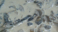 Molho de champignon fresco