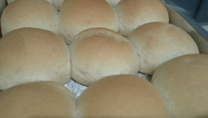 Pãozinho fácil fofinho do Cris