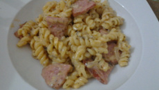 Macarrão com molho branco e calabresa