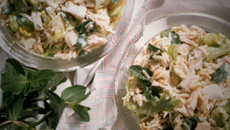 Salpicão catarinense