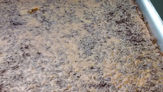 Bolo de cenoura fofinho de verdade