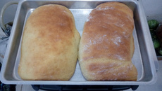 Pão econômico/sem leite