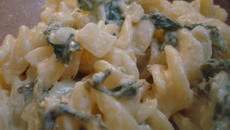 Macarrão com creme de ricota e espinafre