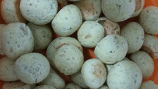 Pão de queijo com creme de leite