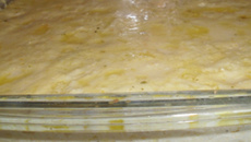 Frango desfiado ao creme de milho