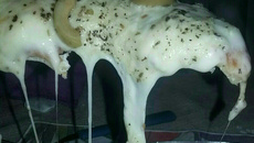 Massa para pizza de 3 ingredientes