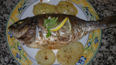 Dourado no forno com batatas