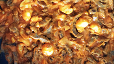 Estrogonofe de carne