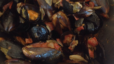 Caçarola de mexilhões