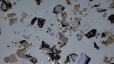 Pavê de biscoito maizena