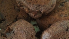 Biscoitinhos de chocolate