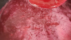 Geleia diet de Jabuticada