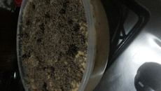 Torta de Bolacha com Doce de Leite