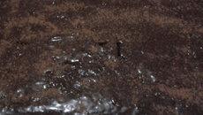 Bolo bomba de chocolate com creme