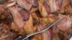 Asinha especial da famílila Corgozinho