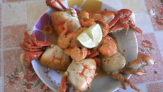 Caranguejo de coco com camarão