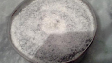 Bolo de chocolate com nata