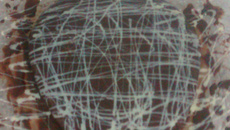 Bolo de laranja com calda de chocolate