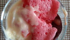 Gelatina especial