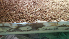 Pavê de Bis Branco e Bis Preto