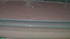 Sobremesa tipo danone caseiro