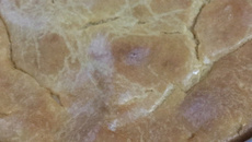 Torta salgada de liquidificador