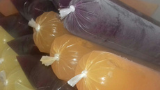 Sacolé, geladinho ou gelinho delícia 