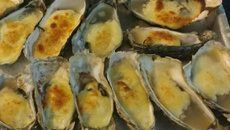 Ostras gratinadas com requeijão