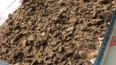 Pavê de diamante negro