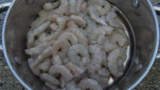 Camarão que rende à la Daninha