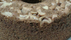 Bolo de banana, canela e castanha integral