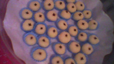 Beijinho de leite ninho