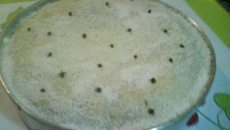 Bolo Molhadinho da Gisele