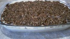 Pavê de damasco e nozes