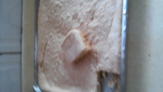 Brevidade de Polvilho