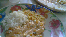 Estrogonofe de frango desfiado